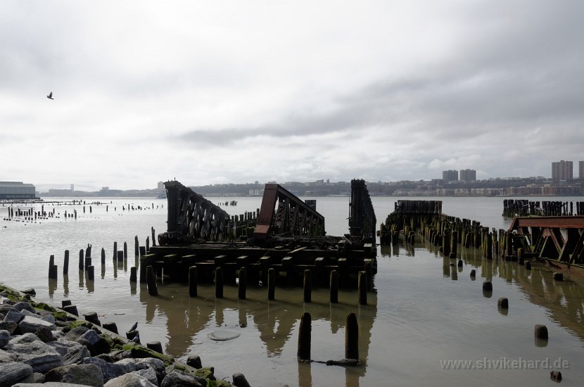 DSC_0547