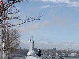 DSC_0525.jpg