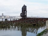 DSC_0544.jpg