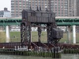 DSC_0558.jpg