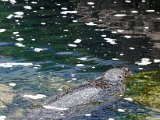 DSC_0388.jpg