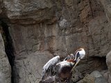 DSC_0391.jpg