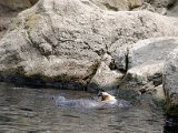 DSC_0392.jpg