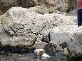 DSC_0393.jpg