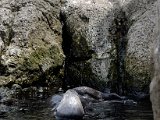 DSC_0394.jpg