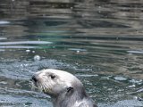 DSC_0401.jpg