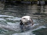 DSC_0403.jpg