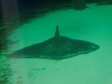 DSC_0410.jpg