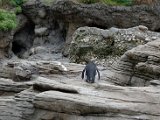 DSC_0412.jpg