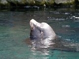 DSC_0413.jpg