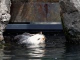 DSC_0419.jpg
