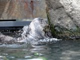 DSC_0423.jpg