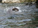 DSC_0438.jpg