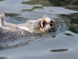 DSC_0442.jpg