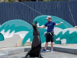 DSC_0455.jpg