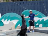 DSC_0456.jpg