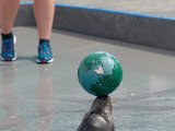 DSC_0461.jpg