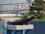 DSC_0464.jpg