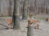 DSC_0693.jpg