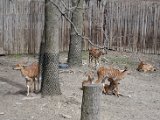 DSC_0694.jpg