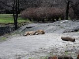 DSC_0696.jpg