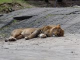 DSC_0697.jpg