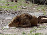 DSC_0699.jpg