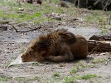 DSC_0700.jpg