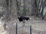DSC_0703.jpg