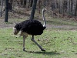DSC_0704.jpg
