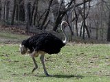 DSC_0705.jpg