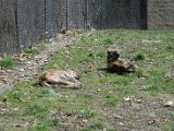 DSC_0712.jpg