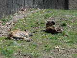 DSC_0713.jpg
