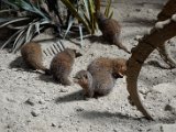 DSC_0714.jpg
