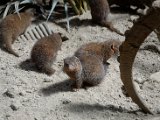 DSC_0715.jpg