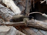 DSC_0730.jpg