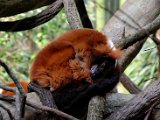 DSC_0740.jpg