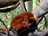 DSC_0741.jpg