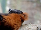DSC_0745.jpg