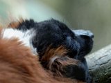 DSC_0749.jpg
