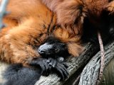DSC_0750.jpg