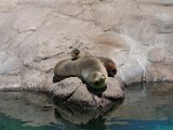 DSC_0751.jpg