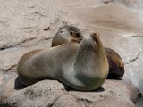 DSC_0752.jpg