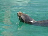 DSC_0753.jpg