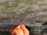 DSC_0761.jpg