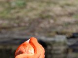 DSC_0762.jpg