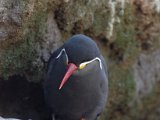 DSC_0763.jpg