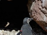 DSC_0766.jpg