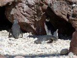 DSC_0768.jpg