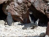 DSC_0769.jpg